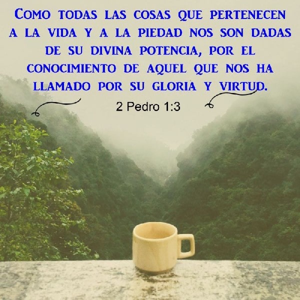 2 Pedro 1:3
