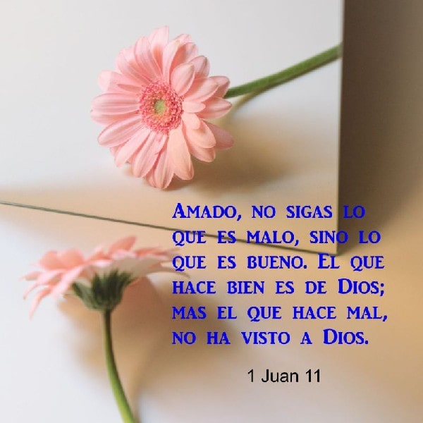 3 Juan 11