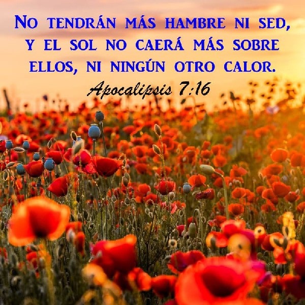 Apocalipsis 7:16-17