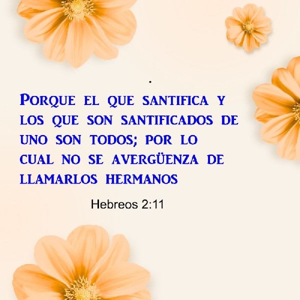 Hebreos 2:11