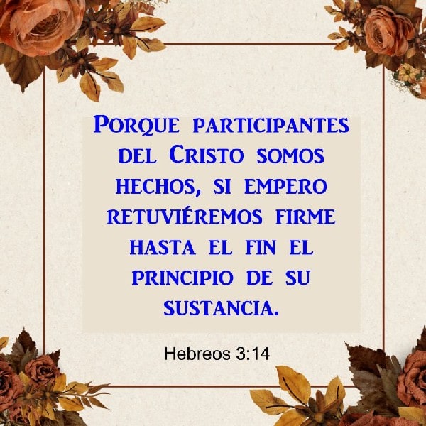 Hebreos 3:14