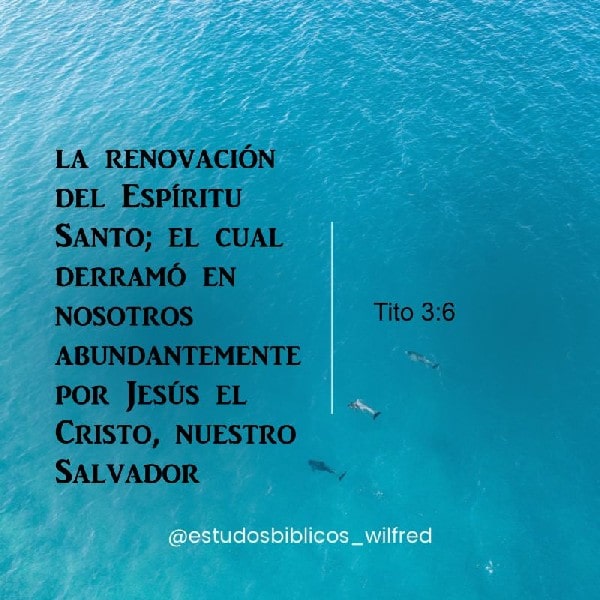 Tito 3:6