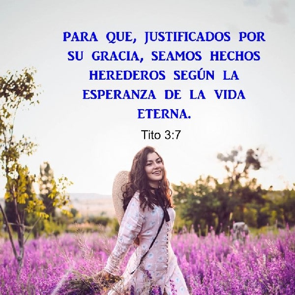 Tito 3:7