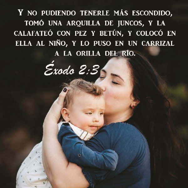 Éxodo 2:3
