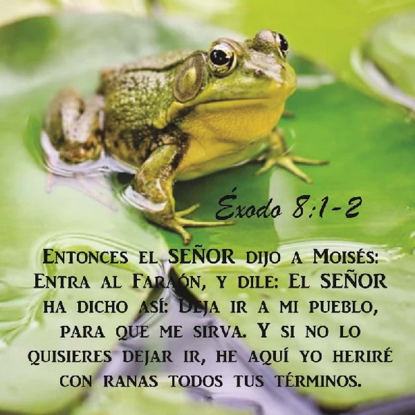 Éxodo 8:1-15
