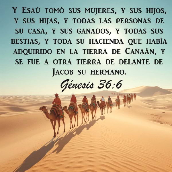 Génesis 36:6