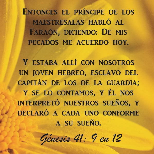 Génesis 41:9-12
