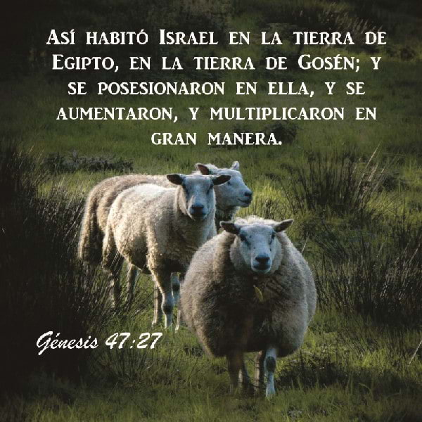 Génesis 47:27-30
