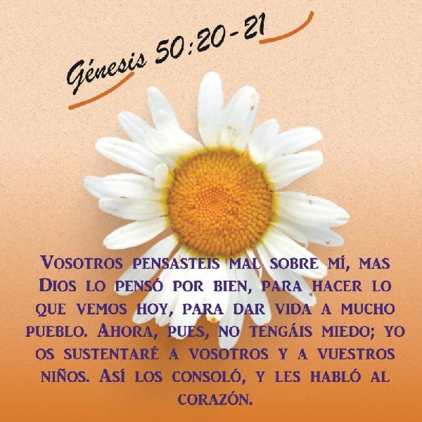 Génesis 50:19-23