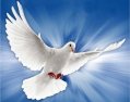 Espíritu Santo como paloma